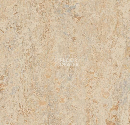 Линолеум Forbo Marmoleum Marbled Authentic 3038 Caribbean фото 1 | FLOORDEALER